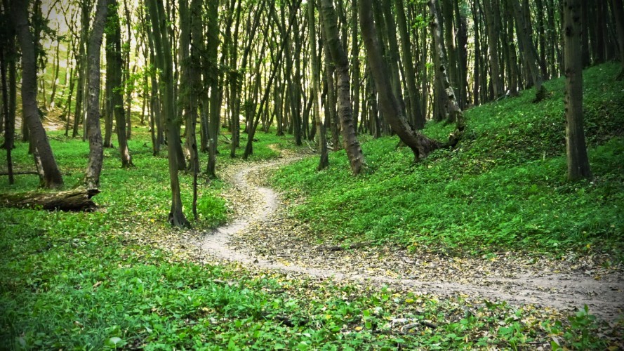 Nejlepší MTB traily v ČR na jednom místě