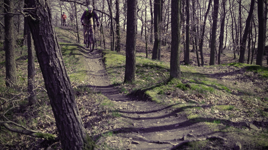 Hočimin trail: Pražská klasika na Točné
