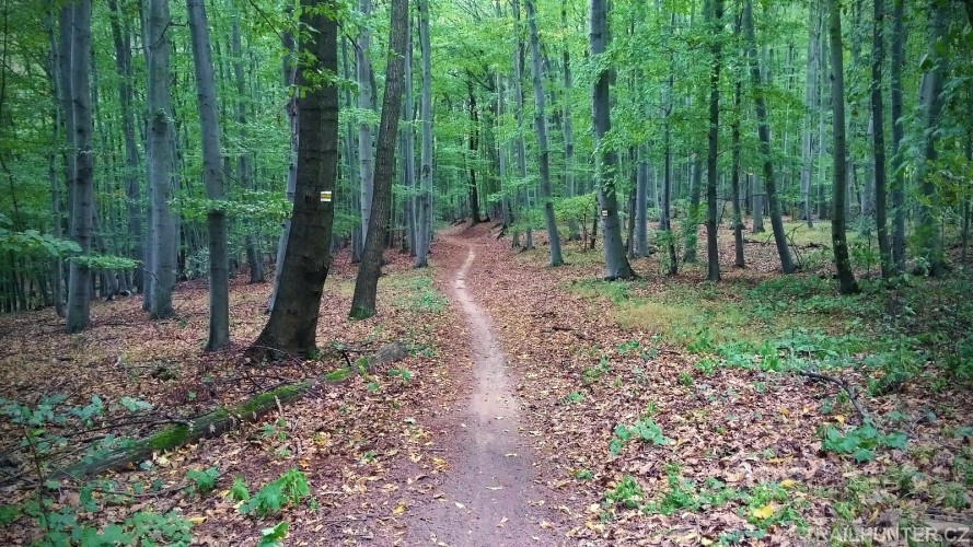 5 nejlepších trailů v okolí Brna