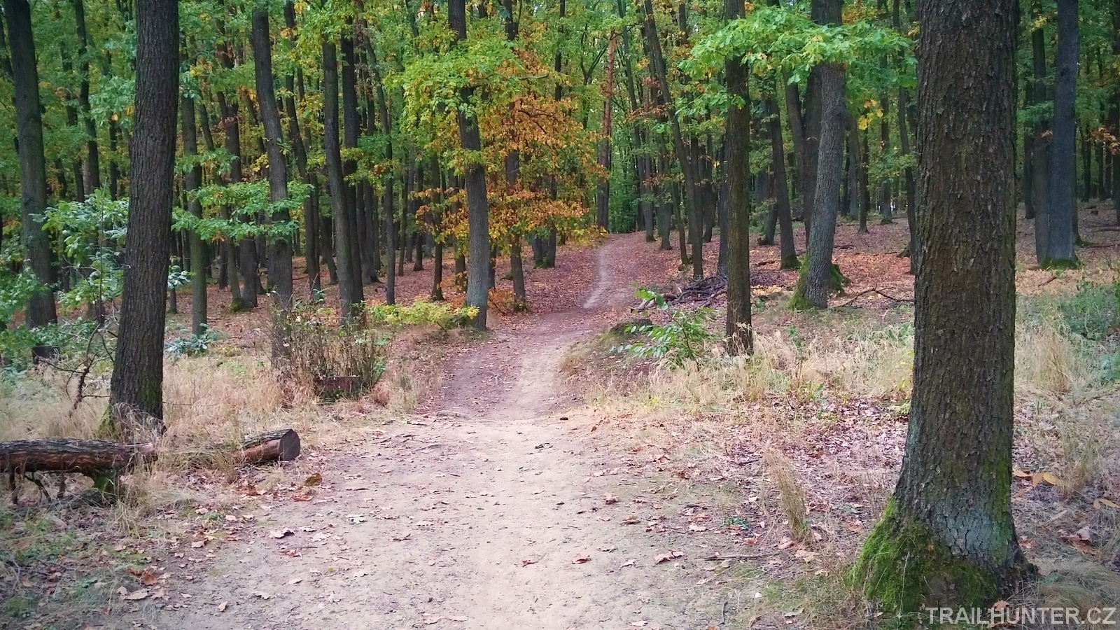 Kohoutovický trail
