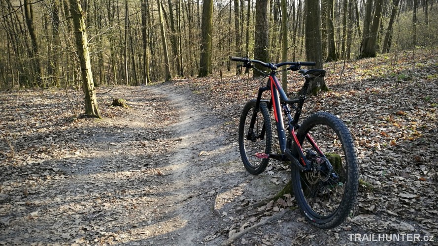 Zamilec trail