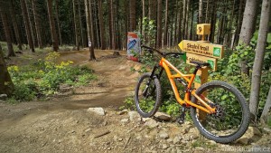 Dolní Morava Single Trails
