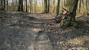 Zamilec trail