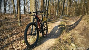 Zamilec trail