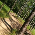 Singletrail Mariánské údolí