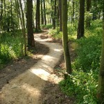 Singletrail Mariánské údolí