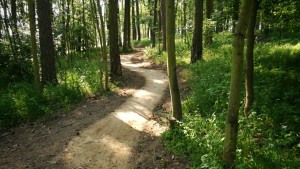 Singletrail Mariánské údolí
