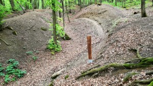 Trail Of Life - Lučina