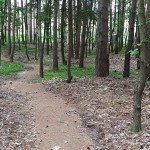 Boskovice Sportpark - singletraily