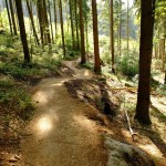 Bikepark Tanvaldský Špičák