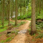 Bikepark Tanvaldský Špičák