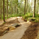 Bikepark Tanvaldský Špičák
