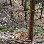 Trail Park Klínovec