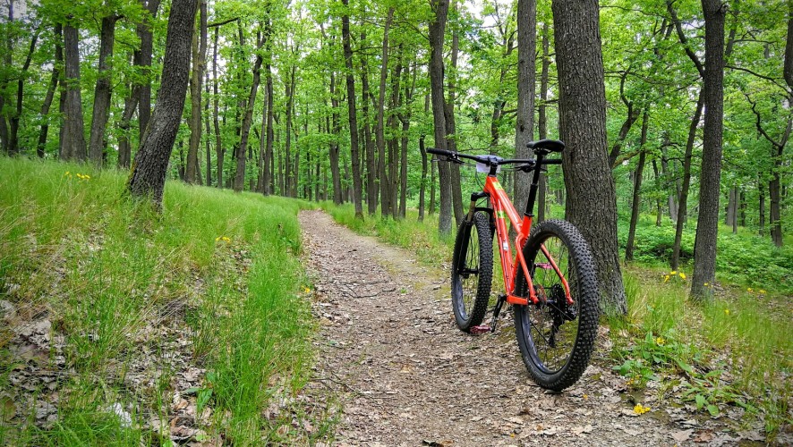 Na traily s pevňákem do 30 tisíc: Trek Roscoe 8