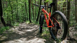 Trek Roscoe 8