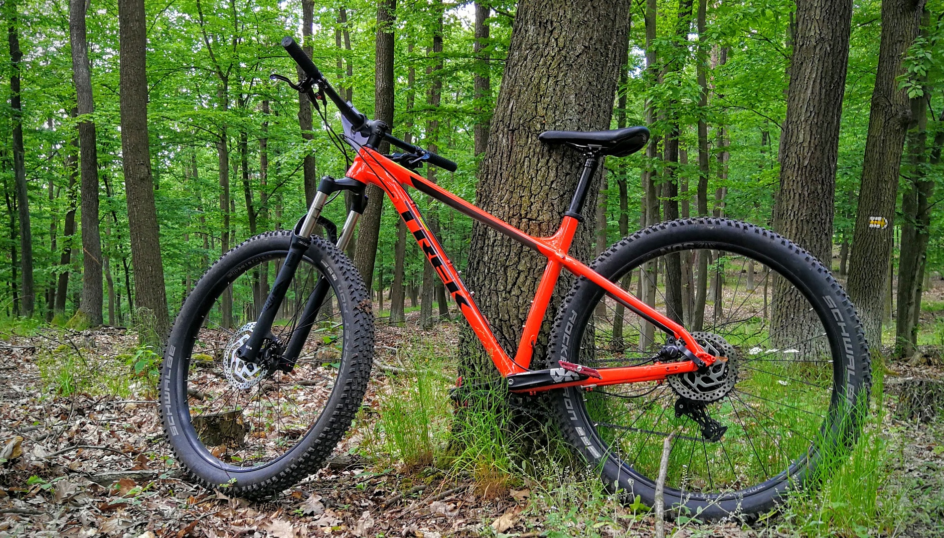 trek roscoe 8 cena