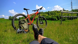 Trek Roscoe 8