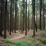 Berounka Trails