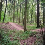 Berounka Trails