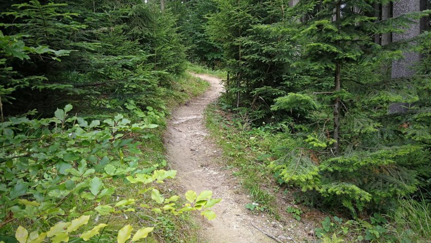 Singletrails Bílá: Lanovkou nahoru, po dvou stezkách dolů