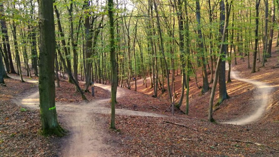 V Brně otevřeli černý trail v Mariánském údolí