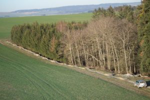Březovský trail