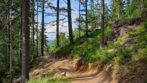 Bikepark Tanvaldsky Spicak