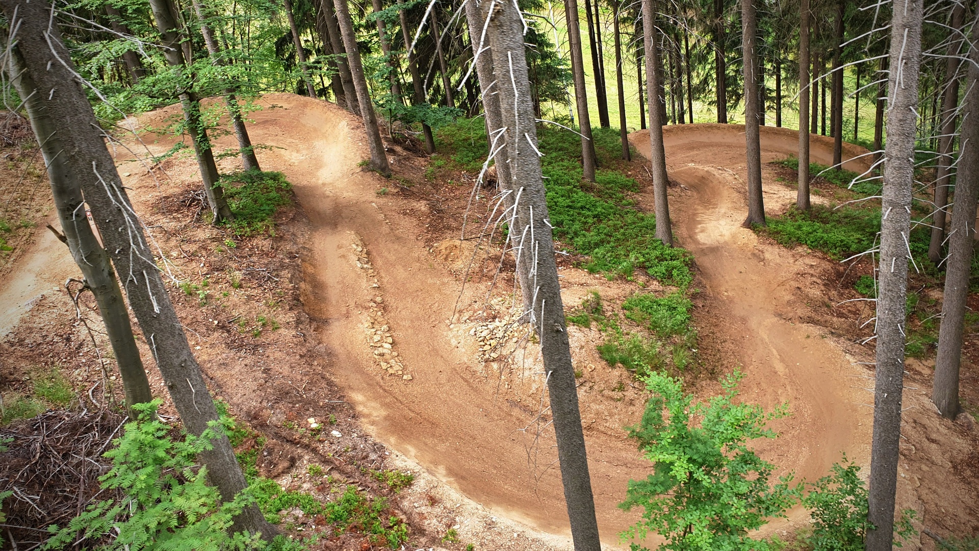 Bikepark Tanvaldsky Spicak