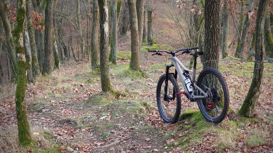 Specialized Stumpjumper 2020